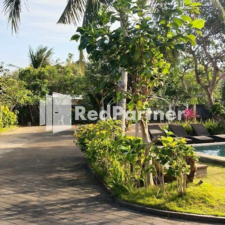Pondok Sentana Guest House At Jalan Raya Uluwatu Redpartner 웅아산 외부 사진